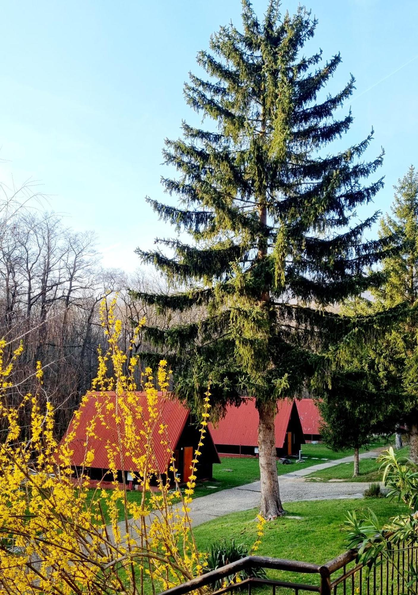 Záruby Resort Smolenice Exterior foto